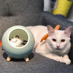 LED Cat Light shaped like a cat silhouette emitting warm yellow glow on a gray sofa next to a white cat with orange accessories